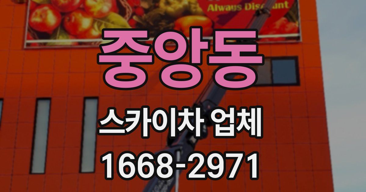 중앙동 스카이차 업체