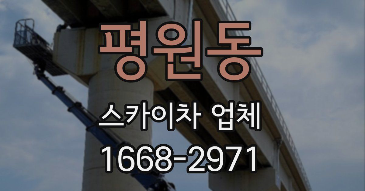 평원동 스카이차 업체