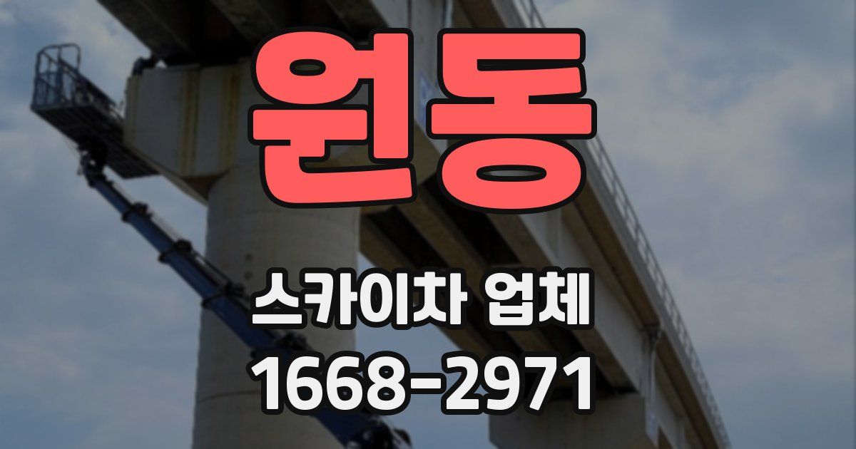 원동 스카이차 업체