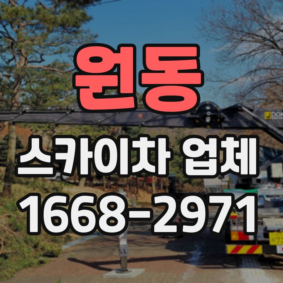 원동 스카이차 업체