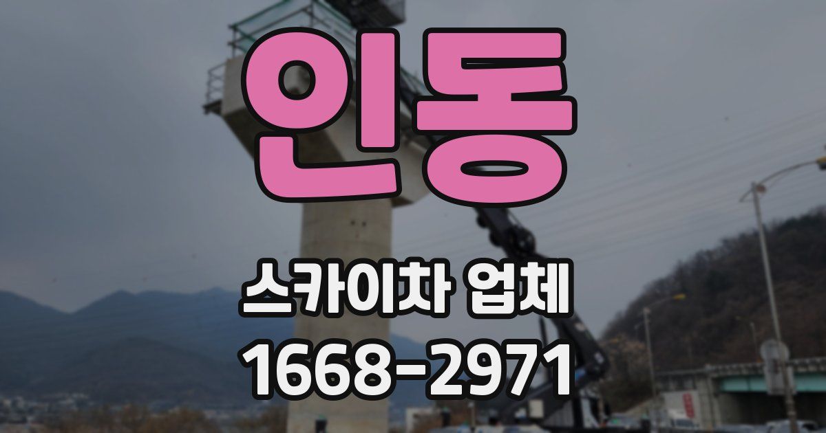 인동 스카이차 업체