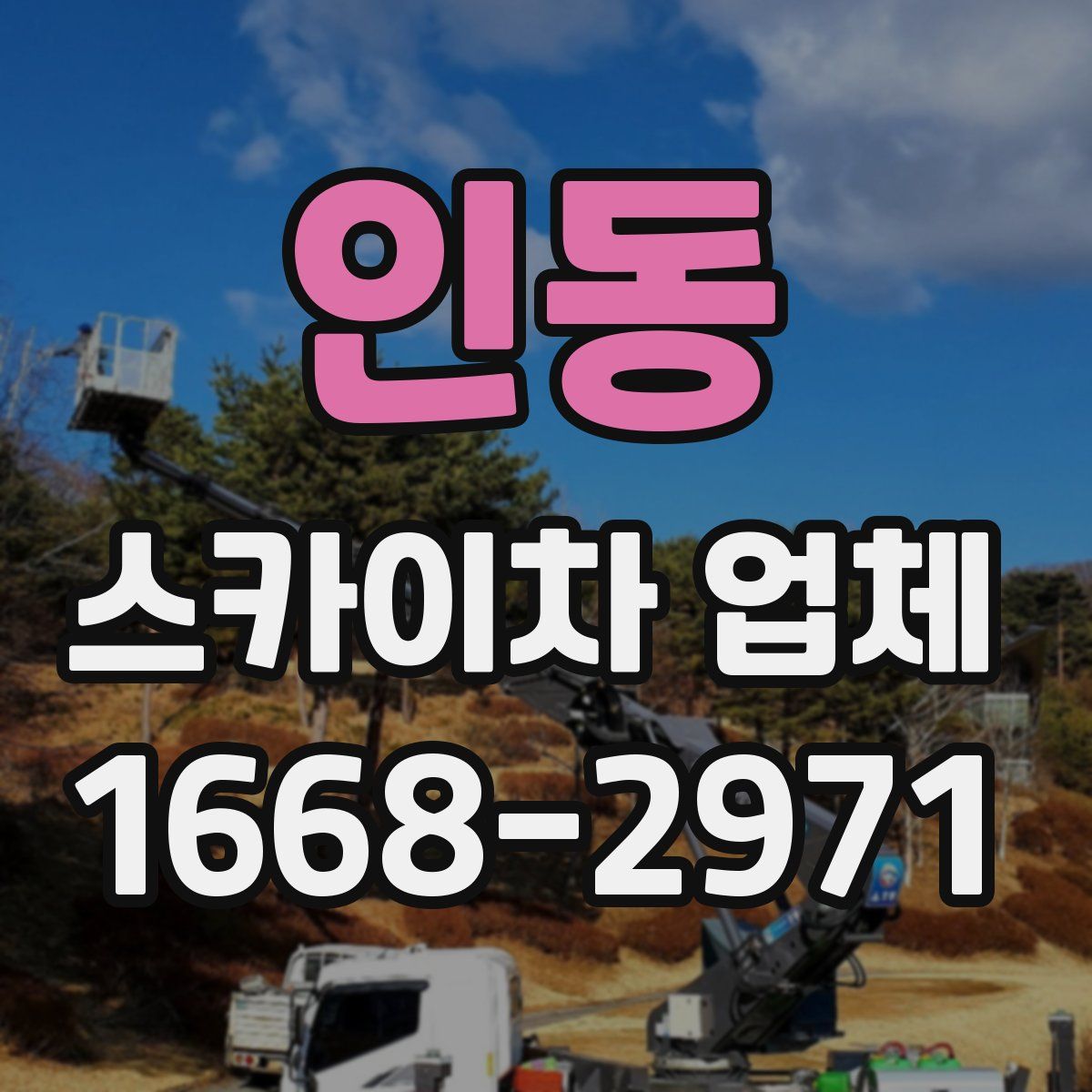 인동 스카이차 업체