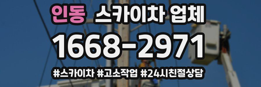 인동 스카이차 업체