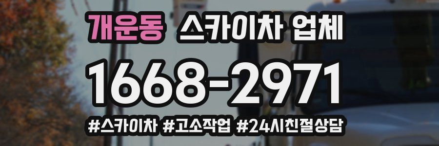 개운동 스카이차 업체