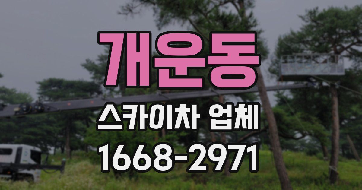 개운동 스카이차 업체