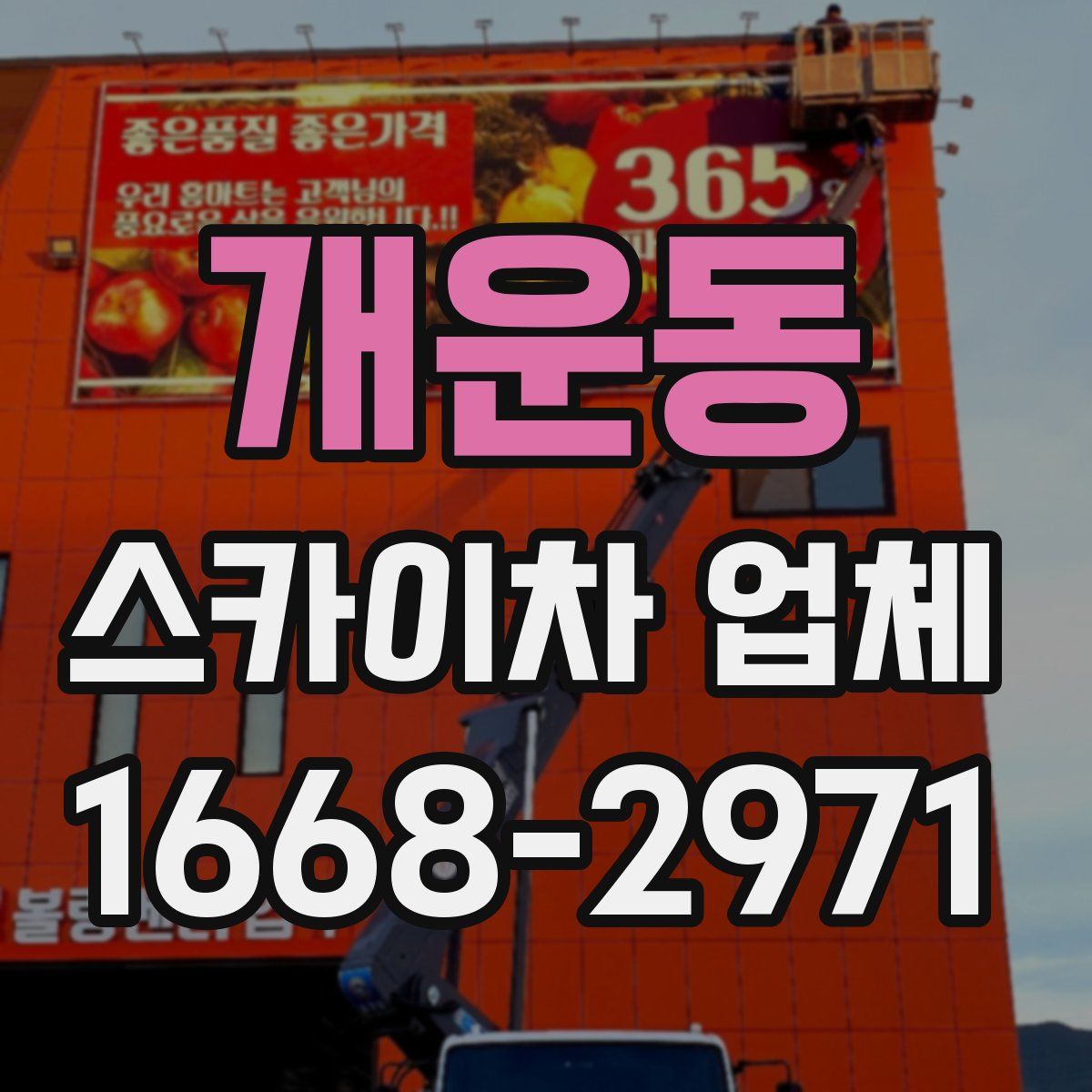 개운동 스카이차 업체