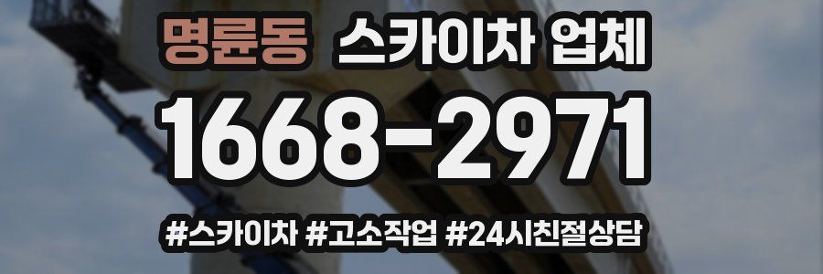 명륜동 스카이차 업체