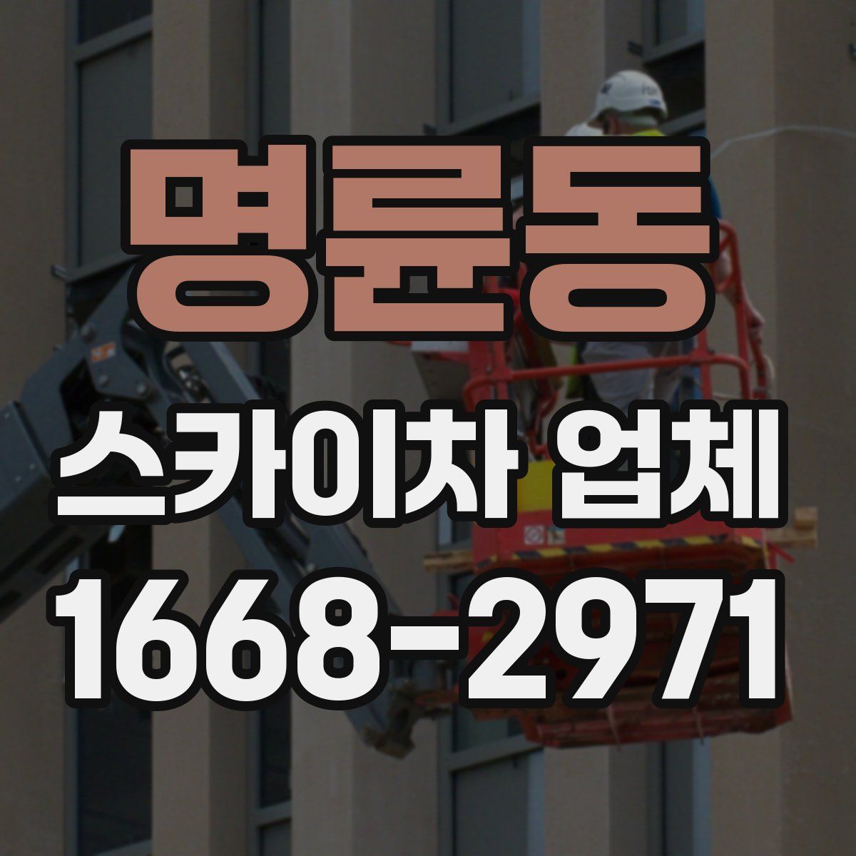 명륜동 스카이차 업체