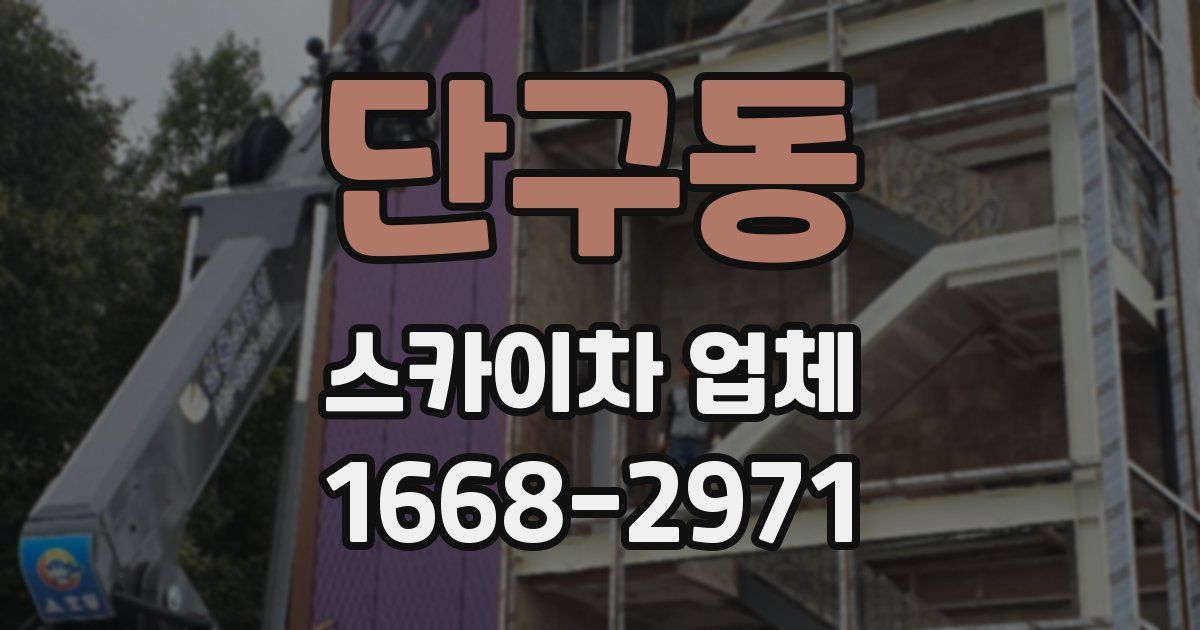 단구동 스카이차 업체