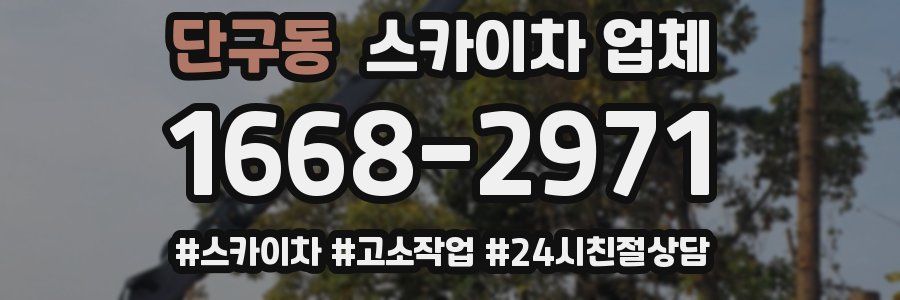 단구동 스카이차 업체
