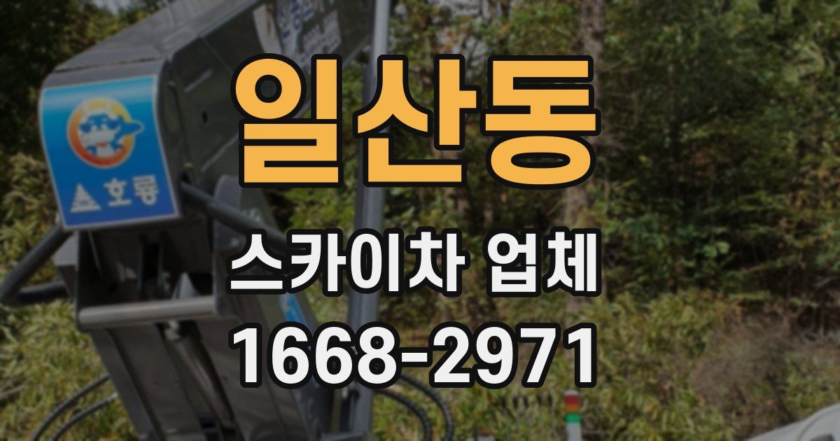 일산동 스카이차 업체