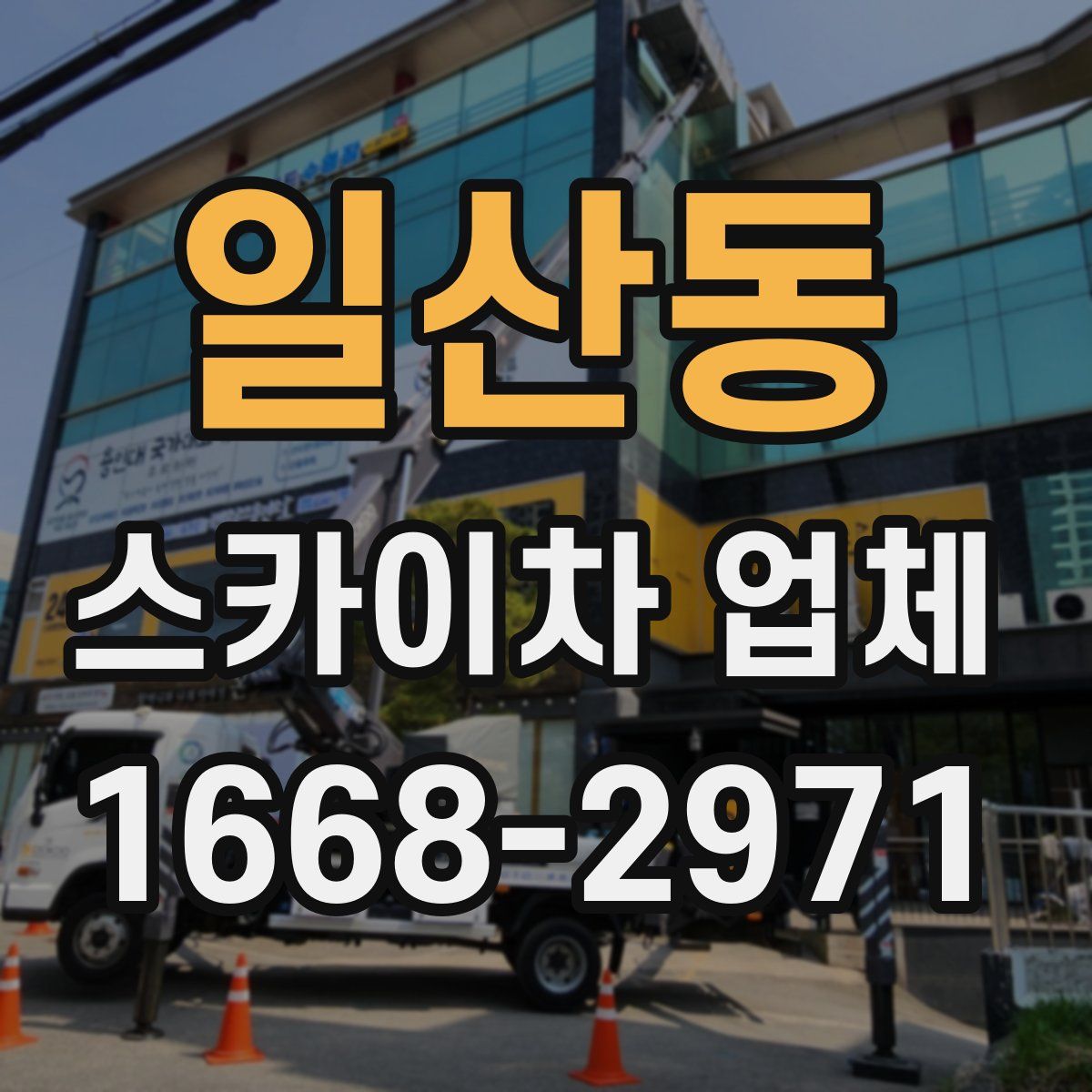 일산동 스카이차 업체