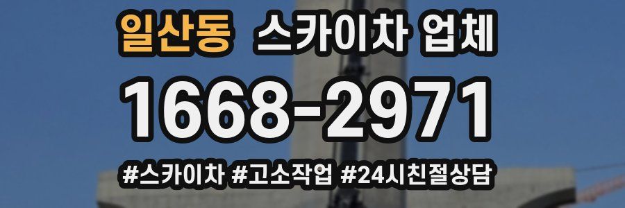 일산동 스카이차 업체
