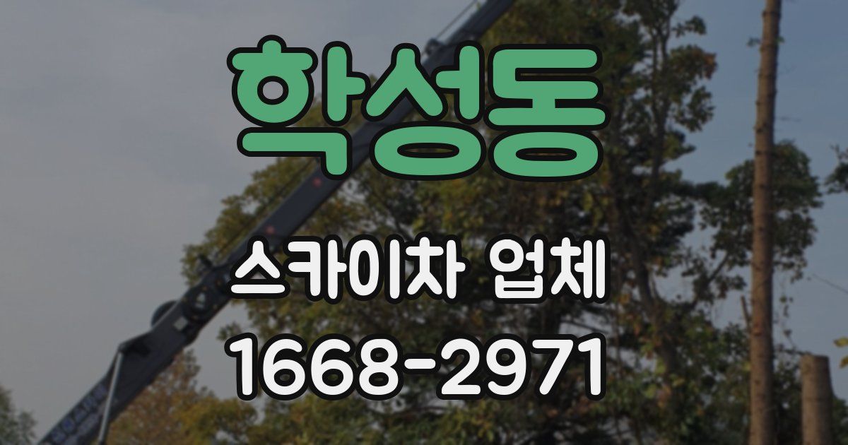 학성동 스카이차 업체