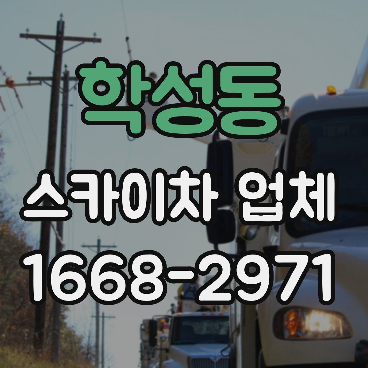 학성동 스카이차 업체