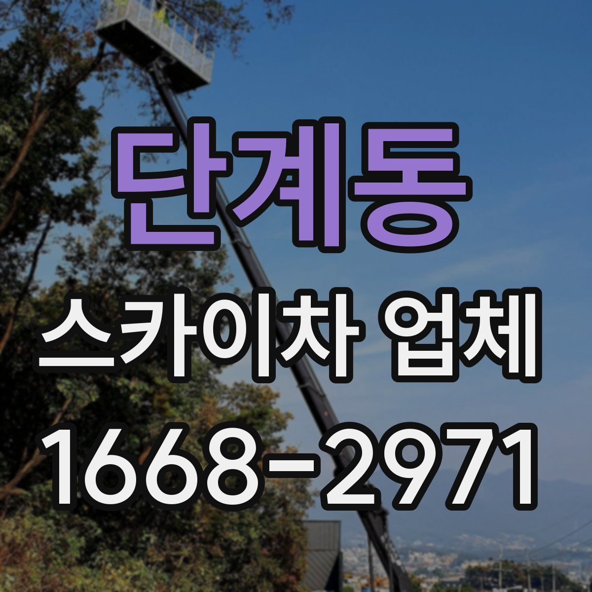 단계동 스카이차 업체