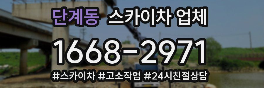 단계동 스카이차 업체