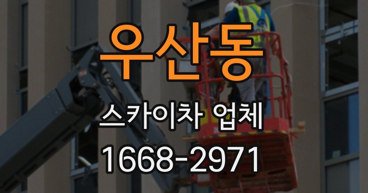 우산동 스카이차 업체