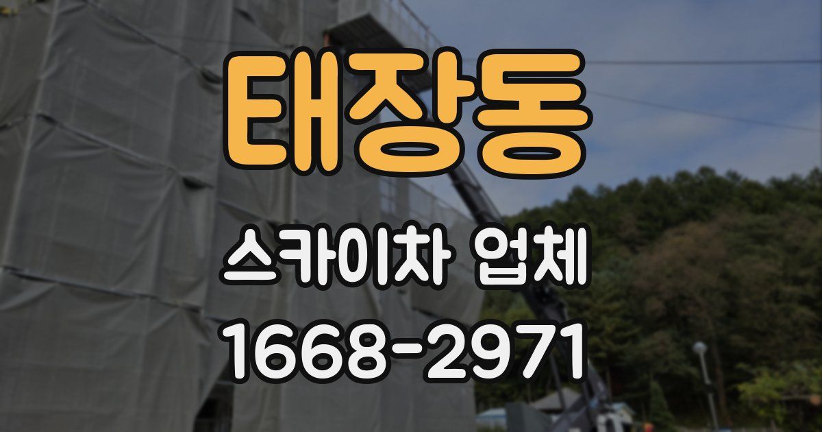 태장동 스카이차 업체