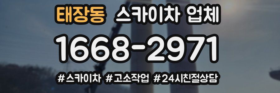태장동 스카이차 업체