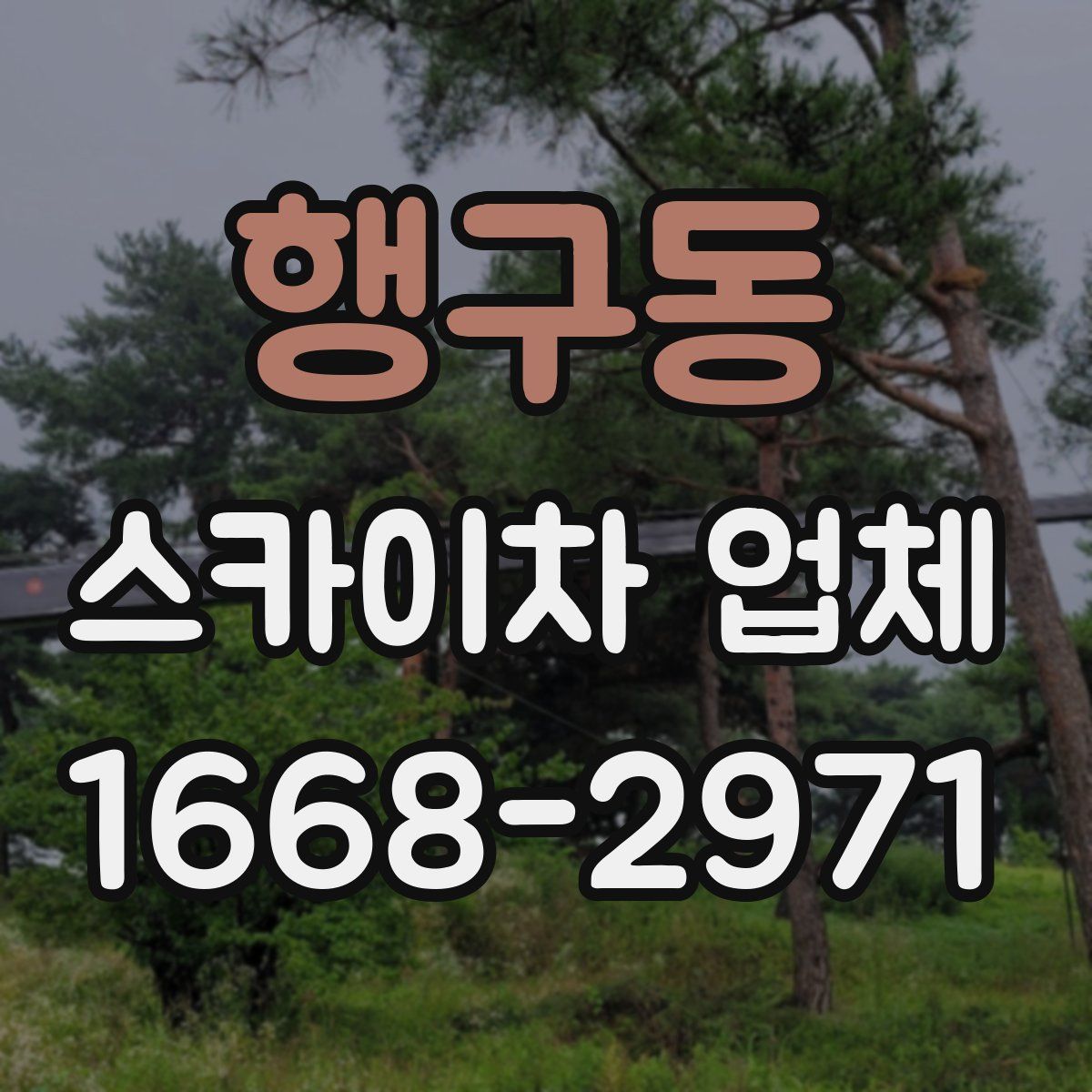 행구동 스카이차 업체