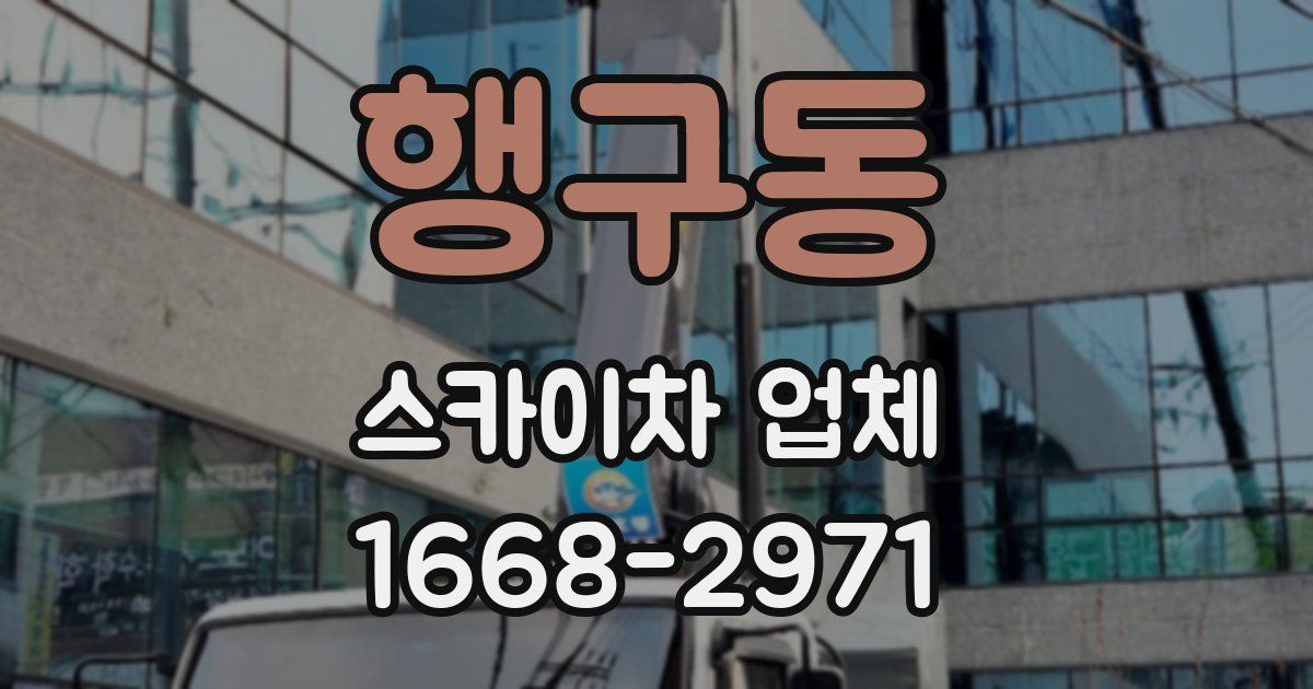 행구동 스카이차 업체