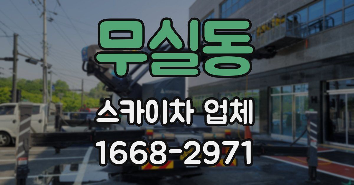 무실동 스카이차 업체