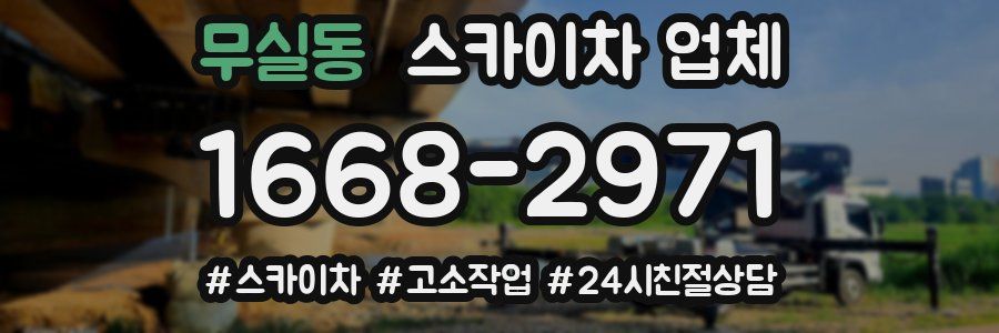 무실동 스카이차 업체
