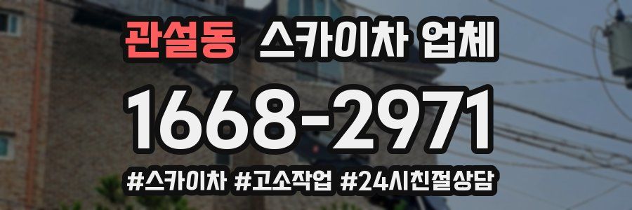 관설동 스카이차 업체