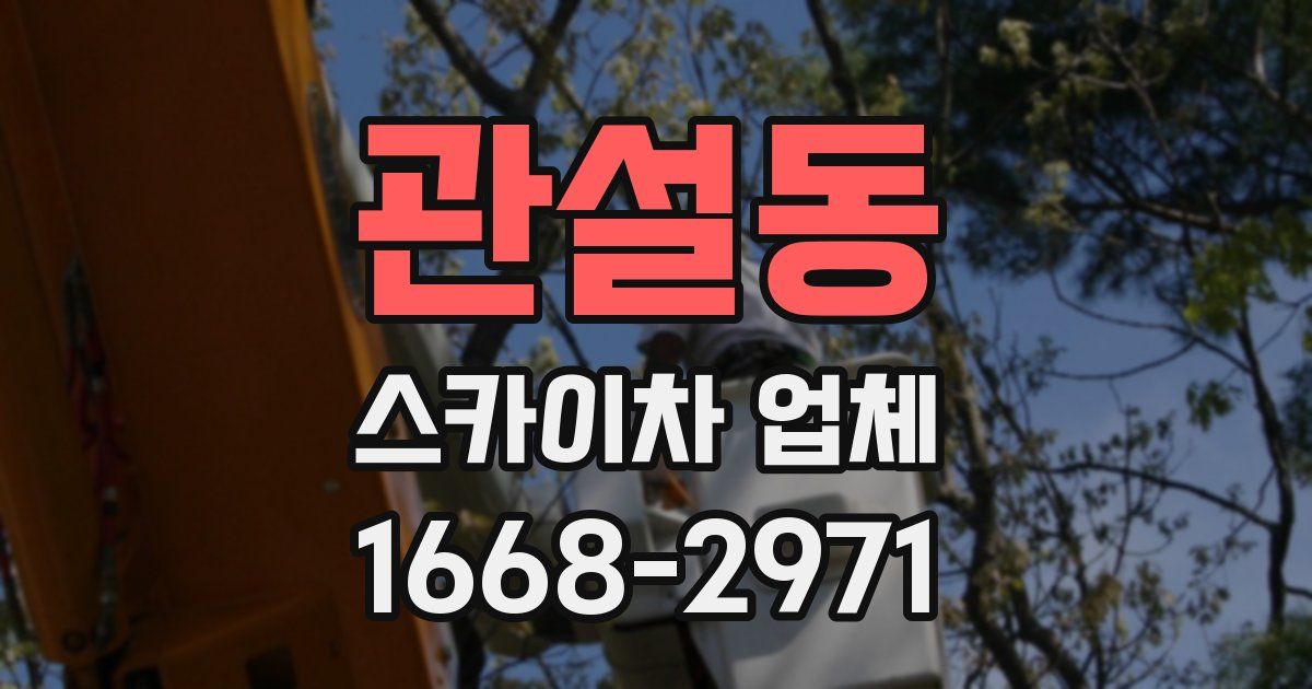 관설동 스카이차 업체