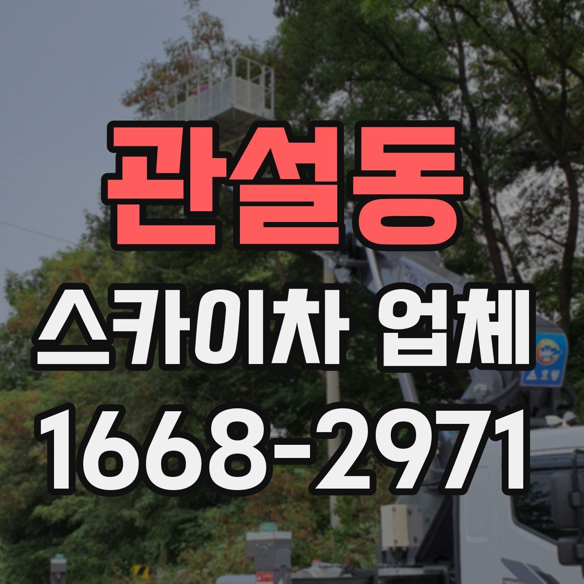 관설동 스카이차 업체