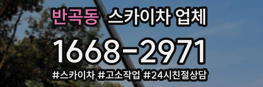 반곡동 스카이차 업체