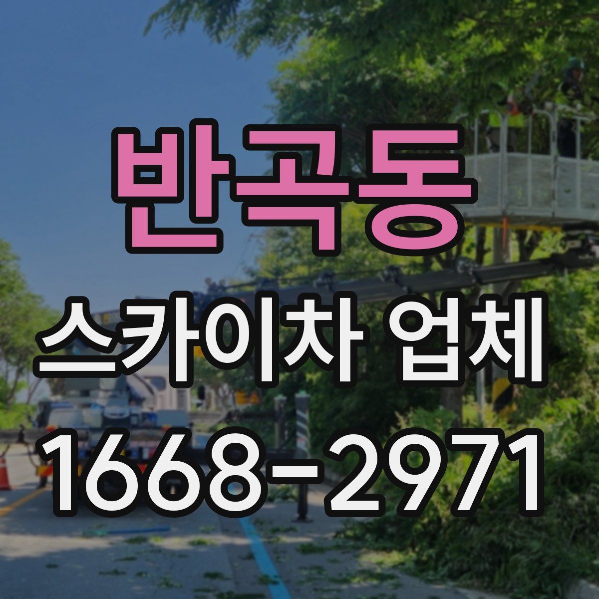 반곡동 스카이차 업체