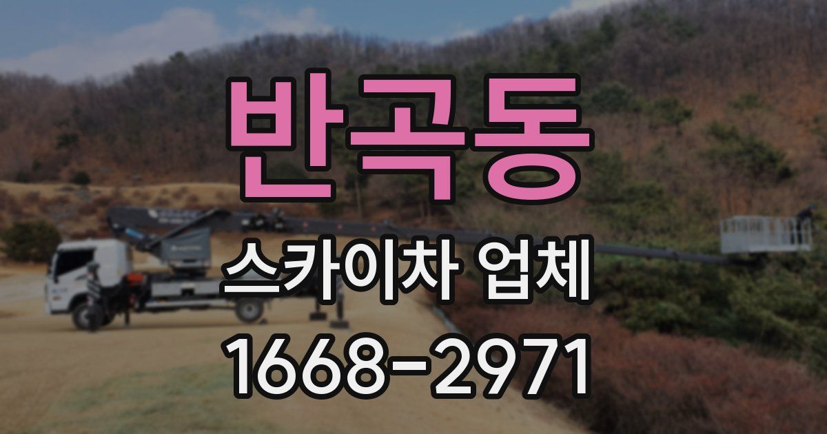 반곡동 스카이차 업체