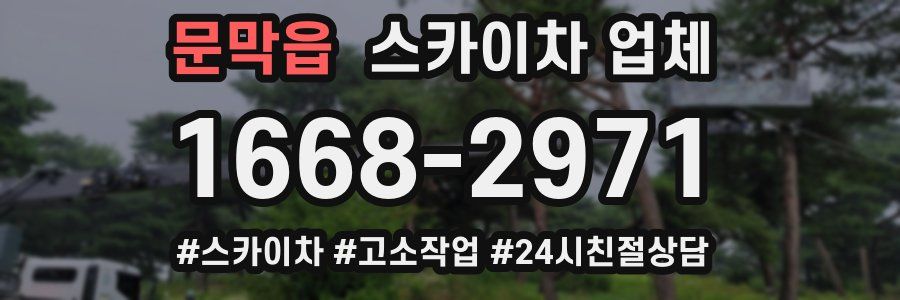 문막읍 스카이차 업체