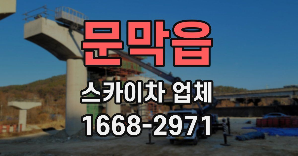 문막읍 스카이차 업체