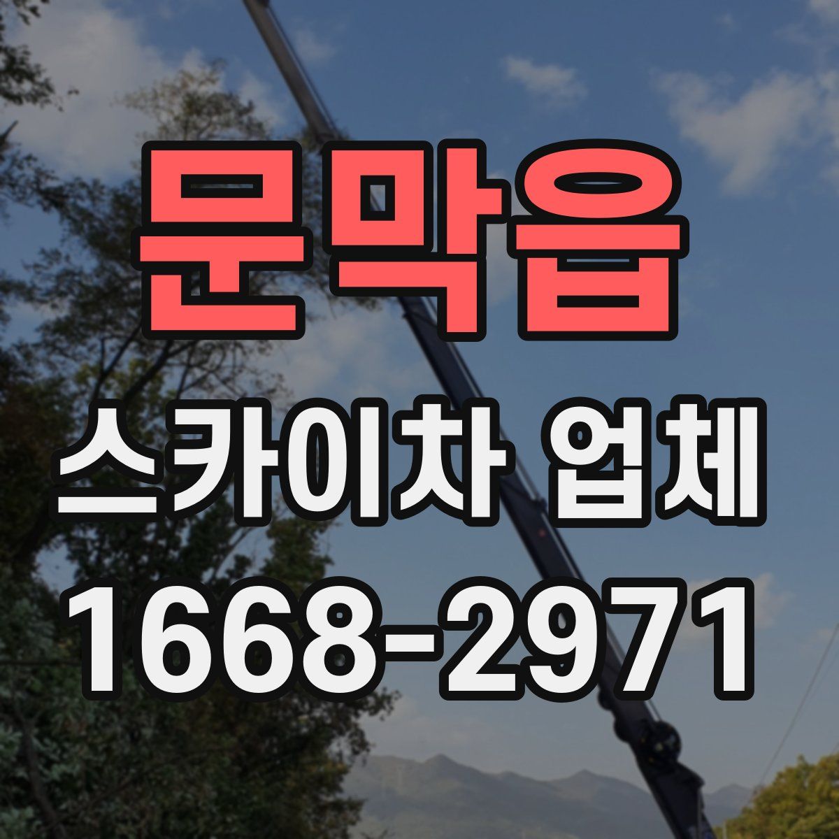 문막읍 스카이차 업체