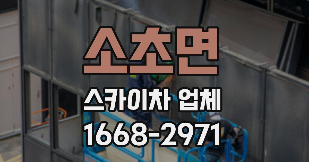 소초면 스카이차 업체