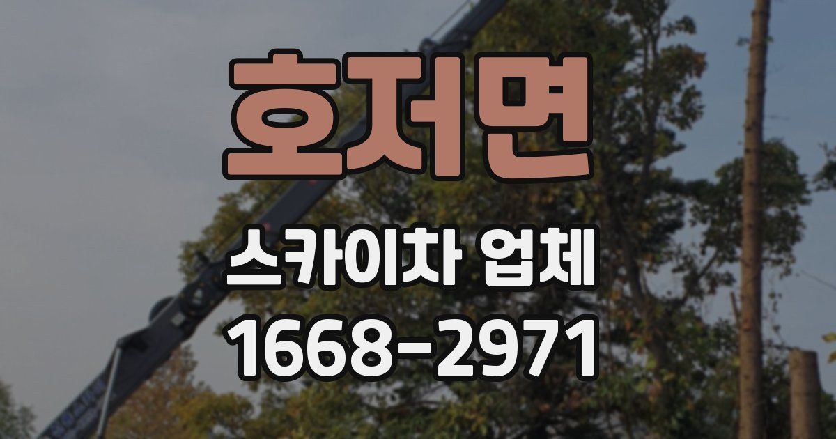 호저면 스카이차 업체