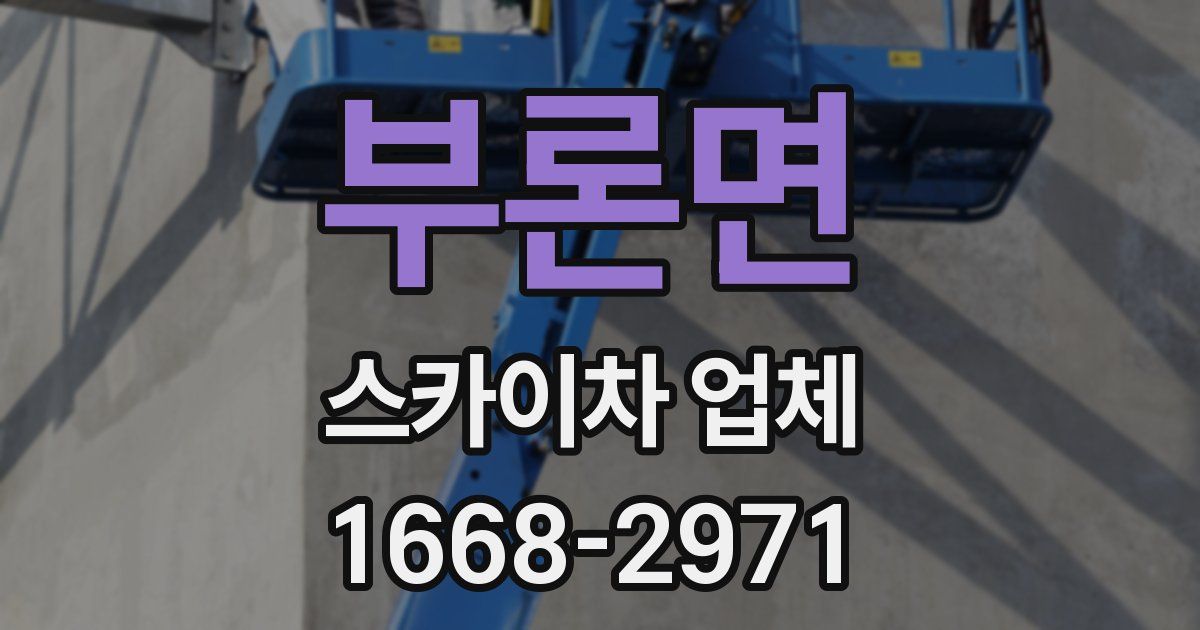 부론면 스카이차 업체