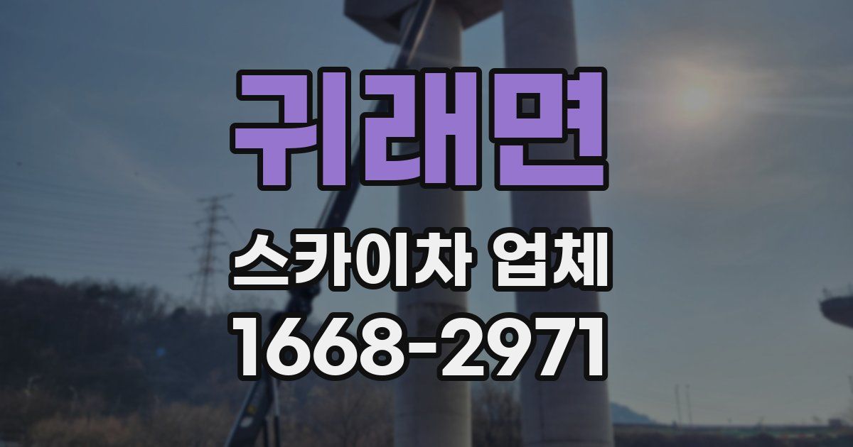 귀래면 스카이차 업체