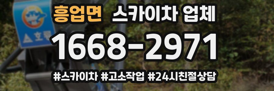 흥업면 스카이차 업체