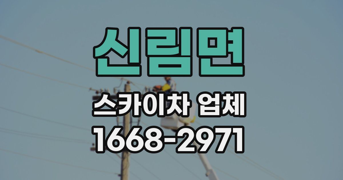 신림면 스카이차 업체