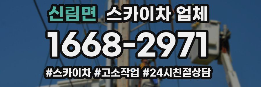 신림면 스카이차 업체