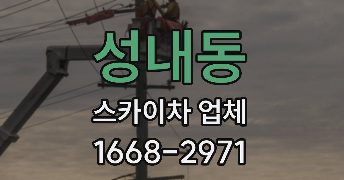 성내동 스카이차 업체