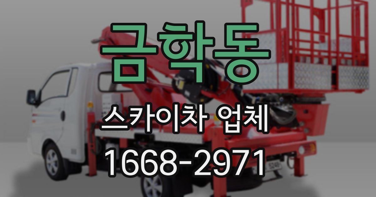 금학동 스카이차 업체