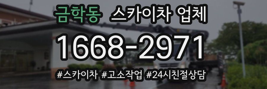 금학동 스카이차 업체