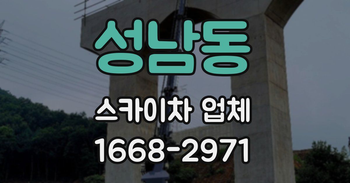 성남동 스카이차 업체