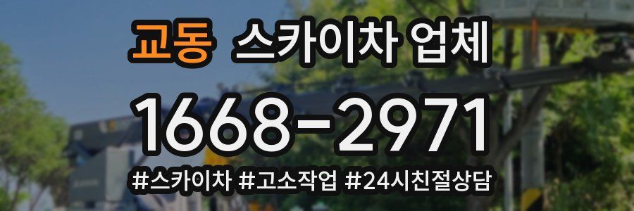 교동 스카이차 업체