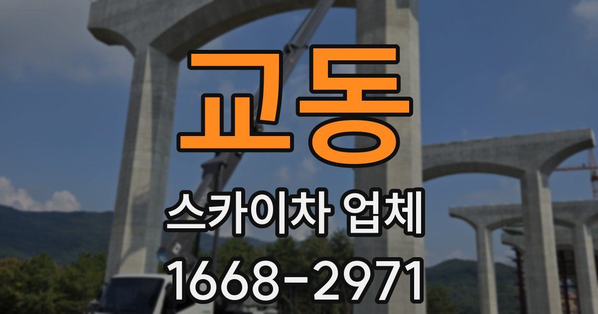 교동 스카이차 업체